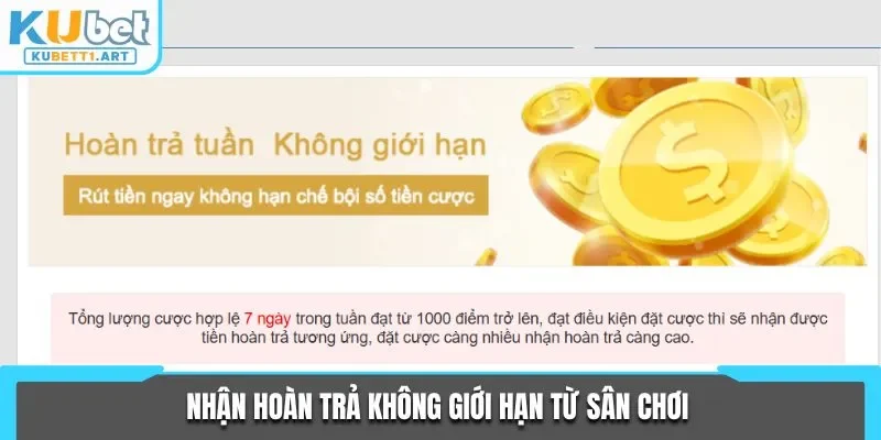 Nhận hoàn trả không giới hạn từ sân chơi 